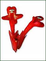 Lipstick plants grow high in the rain forest canopy. 